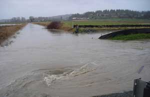 Flooding 2007