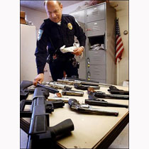 Police display stolen guns