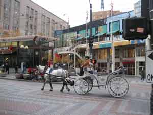 Horse drawn carriage - Seattle