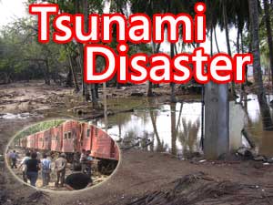 Special coverage: Tsunami disaster